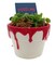 Halloween Bloody Pot Ceramic Planter with Venus Fly Trap - 4 in x 3 in